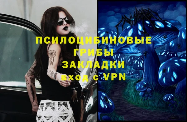 PSILOCYBIN Снежинск