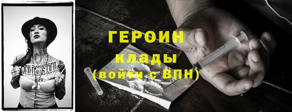 гашик Алексин